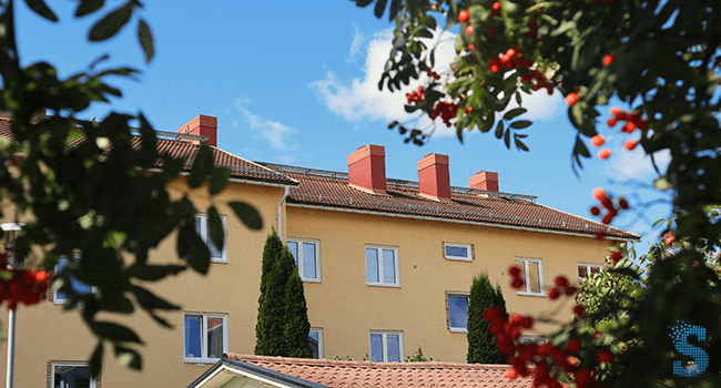 https://slussen.azureedge.net/image/172264/Biet-650x350.jpg